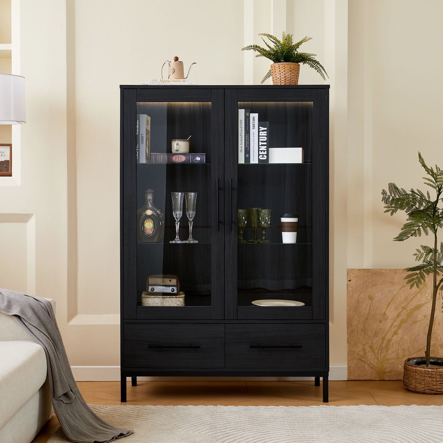 Modern Style Tall Display Cabinet With LED Lighting, Tempered Glass Door, 2 Drawers