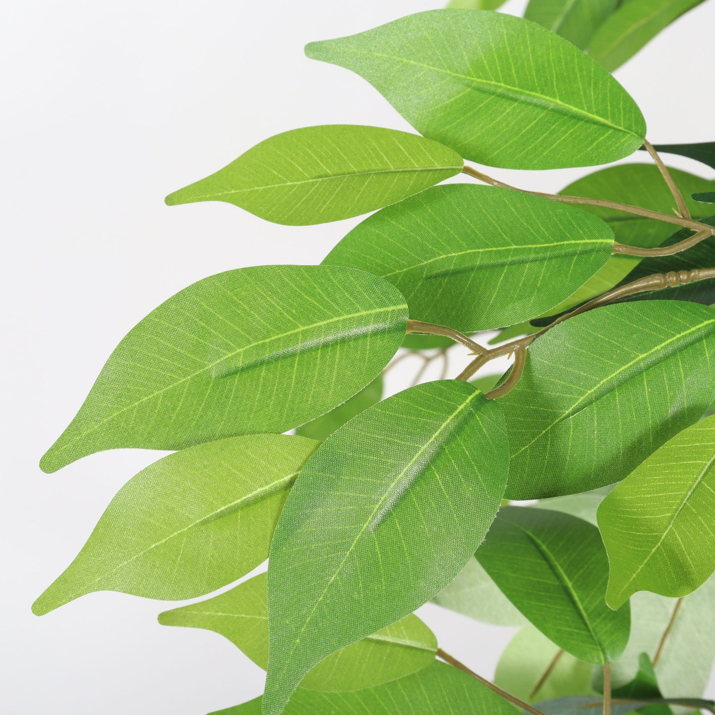 6Ft Artificial Ficus Tree With Natural Trunk In Pot For Indoor Home Office Decor - Green Leaves