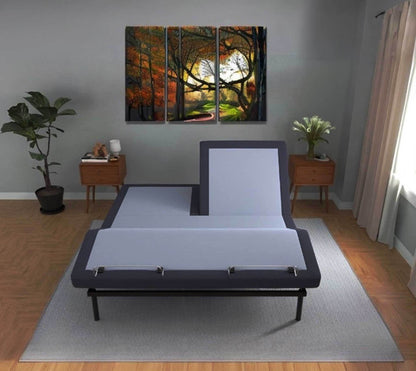 Bt3000 - Flex Head Adjustable Bed Base With Head And Foot Position Adjustment